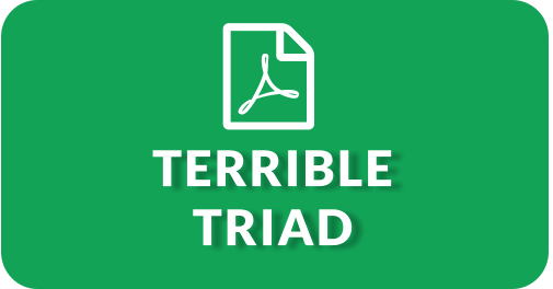 TERRIBLE TRIAD