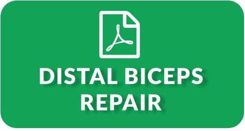 DISTAL BICEPS REPAIR